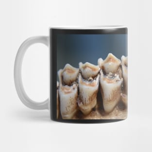 Young Buck Teeth Mug